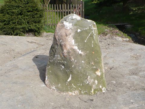 Foto 7